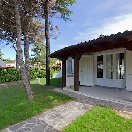 Rose Lignano Sabbiadoro